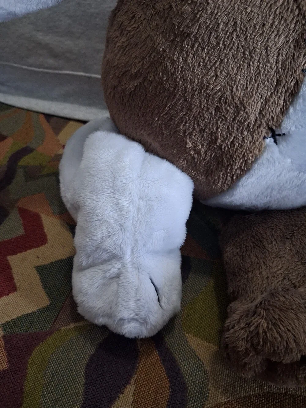 Ripndip teddy fresh